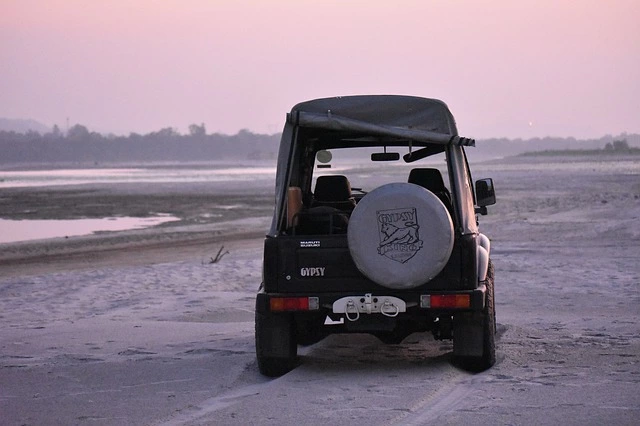Best Spare Wheel Covers For Jeep