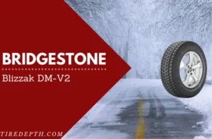 Bridgestone Blizzak DM-V2