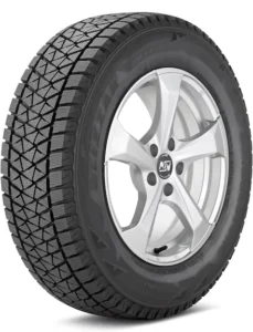 Bridgestone Blizzak DM-V2